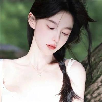 企鹅之岛:福克兰